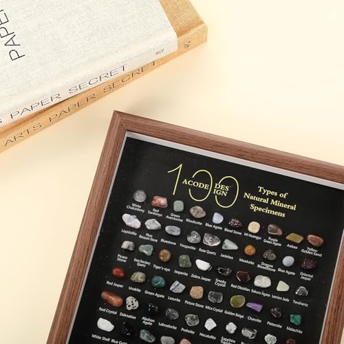 Doublefill 100 Pcs Natural Mineral Specimen Shadow Box, Real Rocks Crystals