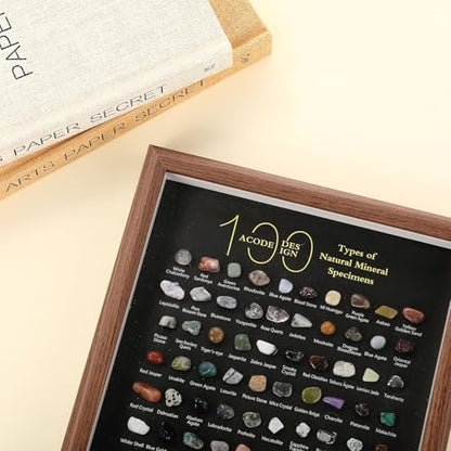 Doublefill 100 Pcs Natural Mineral Specimen Shadow Box, Real Rocks Crystals
