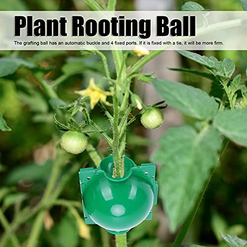 Plant Rooting Device, Reusable Plant Rooting Device High Pressure Propagation Ball Box Plant Grafting Ball Propagation Ball (Green) - color: Green