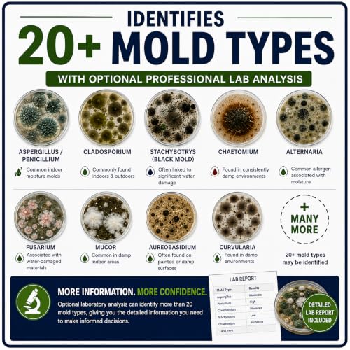 Mold Test Kit for Home by Evviva Sciences - Black Mold Test Kit w/Optional Lab Analysis (Extra Fee) - Mold Air Test Kit - 10 Easy Detection Tests for Indoor Air, HVAC & Surfaces - DIY Mold Detector