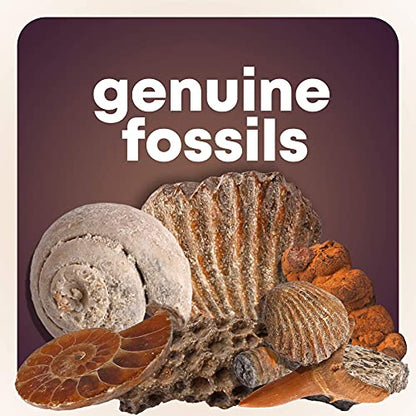 Dan&Darci Rock Collection for Kids - Includes 250+ Bulk Rocks, Gemstones & Crystals + Genuine Fossils and Minerals - 2 Lbs. - Geology Earth Science STEM Toys Activity, Gifts for Boys & Girls Ages 6+