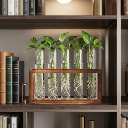 Tigvio Desktop Glass Plant Propagation Station (5 Tubes) - size: 5 Tubes