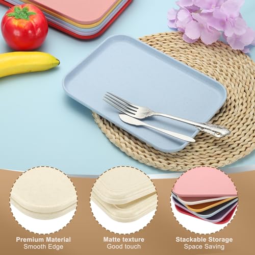 PATIKIL 15x10.6 Plastic Tray, 2 Pack Rectangular Plates Food Tray Wheat Plates Dishes Reusable Dessert Plate Trays with Cloth for Cake Fruits Salad Cupcake Steak Serving Beige - color: Beige, size: L(15"x10.6")