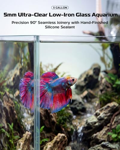 Glass Fish Tank Kit, 3 Gallon Betta Nano Fish Tank Aquarium Starter Kit - color: Transparent, size: 3 Gallon