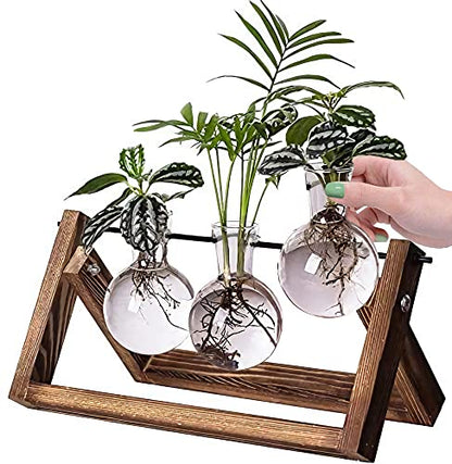 Kingbuy Desktop Glass Planter, 3 Bulb Vases, Brown - size: 3 Bulb Vase (C-type)