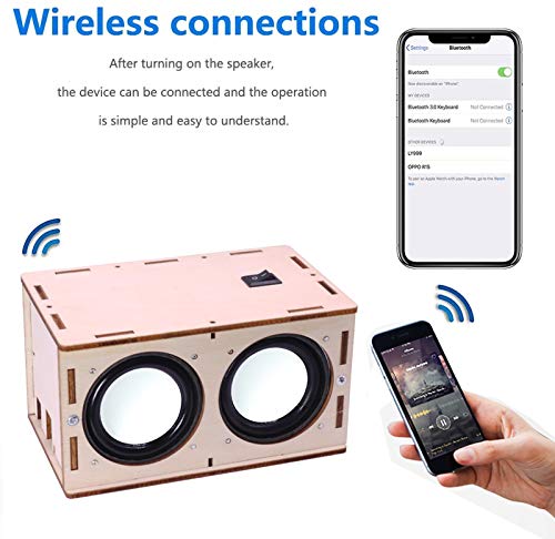 DIY Bluetooth Speaker Kit Wood Case, Teens & Adults STEM Electronic Project