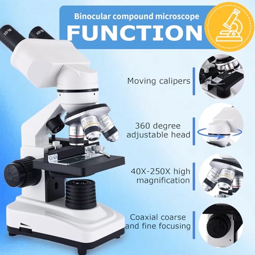 Binocular Microscope Magnification 40X-2500X, WF10x/25x Eyepieces, Dual LED Illumination, Suitable for Schools Home Labs Educational Adult Microscope - color: white