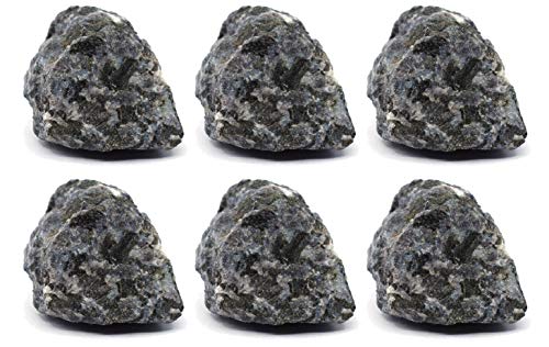 EISCO 6PK Raw Gabbro, Igneous Rock Specimens - Approx. 1" - Geologist Selected & Hand Processed - Great for Science Classrooms - Class Pack