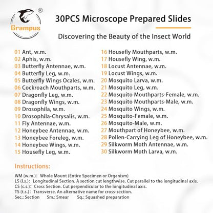 30 Prepared Microscope Slides with Specimens for Kids Students - Insects, for Biological Science Lab, Children's Science Education, Homeschooling Use - style: 30PCS Insects