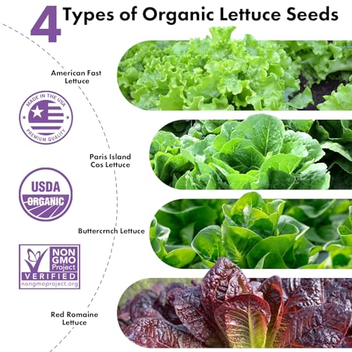 LYKOCLEAN Salad Romaine Lettuce Pods for AeroGarden, Ahopegarden, iDOO Hydroponics Growing System, 350 Seeds+ Including American Fast Lettuce, Paris Island Cos Lettuce, Buttercrunch Lettuce(7-Pods) - color: Lettuce, size: 7pods
