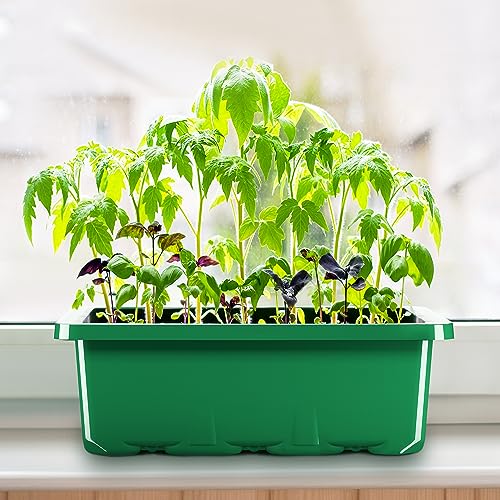MIXC 10 Pack Seed Starter Tray, 120Cell Stater Kit with Humidity Dome Green - color: Green, size: 12 Cell-10 Packs-Clear Cover