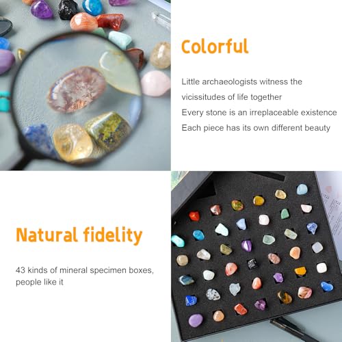 43 Pieces Rock Kit for Geology Enthusiasts | Rock Collection with Mineral Testing Tools, Crystal Geode Display & Volcanic Samples | Beginner to Advanced Specimen Study