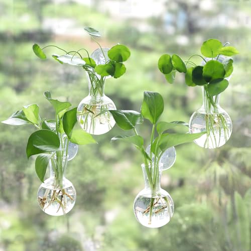 Bunmery 4 pcs Window Propagation Stations, Easy to Install Plant Propagation Bulbs with Suckion Cups, No Nails Wall Hanging Planter Propagation Station, Glass Plant Terrarium Vase - color: Clear Bulb, size: 4 PCS
