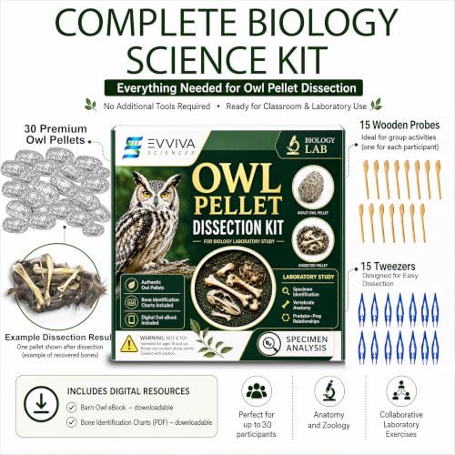 ES EVVIVA SCIENCES Owl Pellet Kit - Dissect 30 Mostly Small Real Owl Pellets w/Tools & PDF Bone Charts - Science Education Kit for Ages 15+ - Hands-On Animal Biology Science Lab Activity