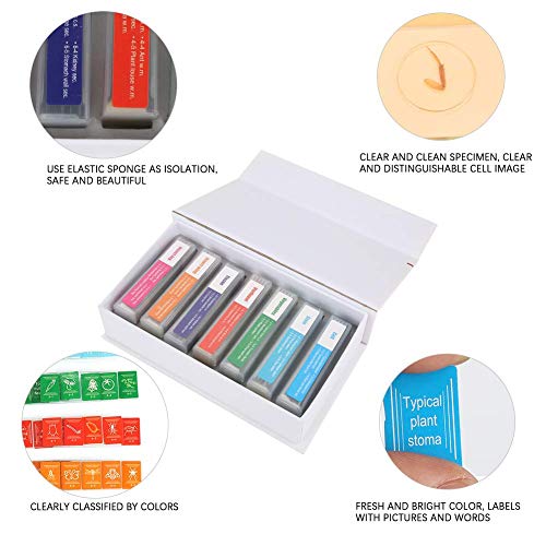 35pcs Microscope Slide, Assorted Cytology Botany Zoology Entomology Prepared Slides Biology Glass Lab Specimens Set for Students Science Experiment Teaching
