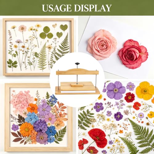 Dmnnlp Large Wooden Flower Press Kit 14.2" x 8" - Dried Flowers Plant Press for Kids & Adults, Great Gift for DIY Flowers Lovers, Craft Enthusiasts