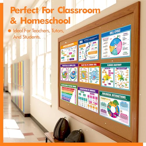 17 Laminated Biology Posters, Human Body System, Cell Anatomy, DNA, Photosynthesis, Educational Science Charts For Middle & High School, Learning Tool For Classroom, Bulletin Board, Room, 11”x16” - color: 17 Laminated Biology Posters
