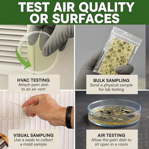 Evviva Sciences Mold Test Kit with US-Based Lab Analysis & Return Shipping Included | Screen Indoor Air, HVAC & Surfaces | Professional Mold Presence Detection | Includes Mold Information Guide