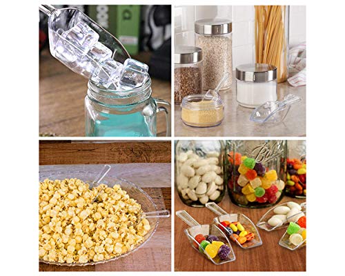 DS DISTINCTIVE STYLE Kitchen Scoops Set - 6 Clear Plastic Scoops with 3 Sizes