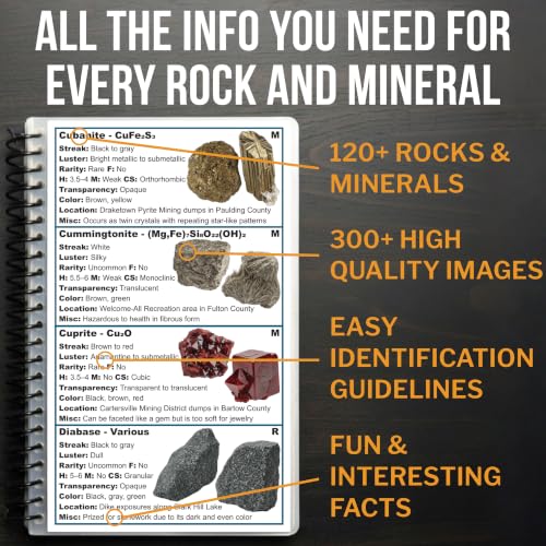 Georgia Rocks And Minerals Field Guide | Waterproof