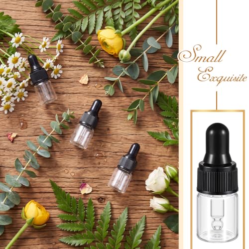 Didaey 100 Pcs Mini Glass Oil Dropper Bottle, 2 ml, Clear - color: Clear, size: 2 ml