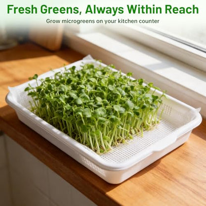 Acrylic Microgreens Growing Trays 3-Pack with Silicone Mats & Spray Bottle – Clear Hydroponic Germination Kit for Vegetables, Wheatgrass, Cat Grass – Soilless Trays for Home Kitchen & Classroom