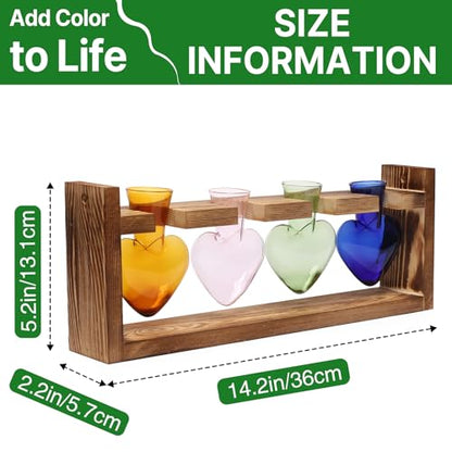 Plant Propagation Stations Heart Plant Terrarium Kit - color: Color02