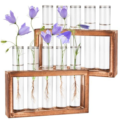 Tigvio 2pcs Desktop Glass Plant Propagation Station (10 Tubes) - size: 10 Tubes