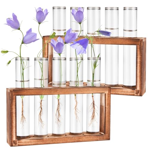 Tigvio 2pcs Desktop Glass Plant Propagation Station (10 Tubes) - size: 10 Tubes
