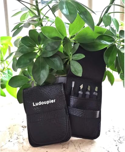 LUDOUPIER [4 Pieces +1] Tweezers Set with Travel Case for Women & Men