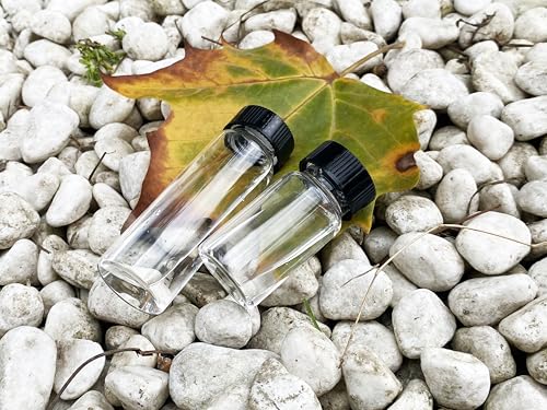 20mL Glass Storage Vial, 24mm Screw Cap with PE Liner, 100-Pack - size: 20ml