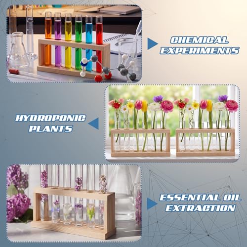 Wenqik 2 Pack Wooden Test Tube Rack, 6 Holes 15 mm Pine Wood Lab