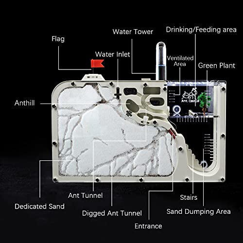 Ant Farm Castle, Ant Farm for Kids, Ant Colony Habitat Science Learning Kit - color: Ant Castle a