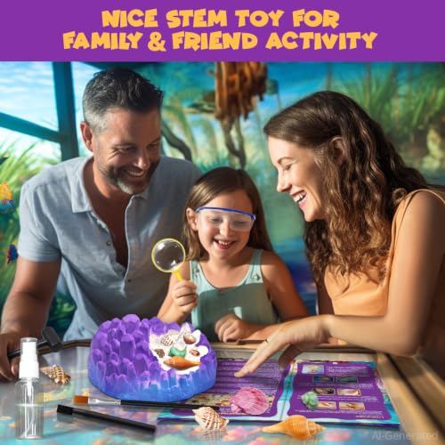 PIBEX Ocean Fossil Dig Kit, 20+ Real Shells & Seasnails, Sea Creature Toy - size: Ocean World (20+ Fossils)