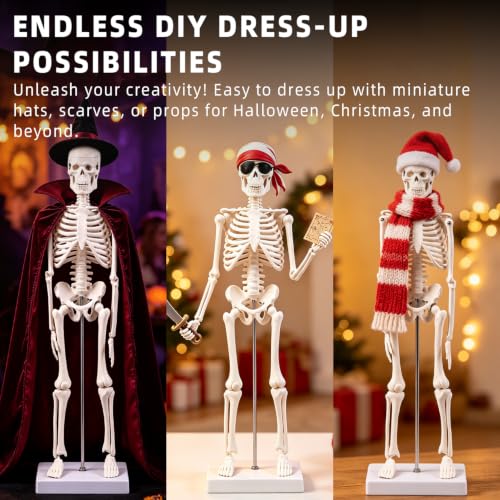 17.72 Inch Mini Skeleton Anatomy Model,Realistic Human Skeleton Model with Movable Arms and Legs, Scientific Anatomical Bone Model,Educational Teaching Display & Halloween Decoration - size: 17.7 inches