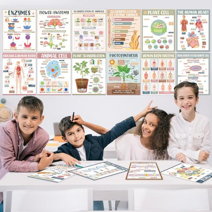 Yiaoyinnz 16Pcs Warm Boho Biology Science Posters for Classroom - color: warm