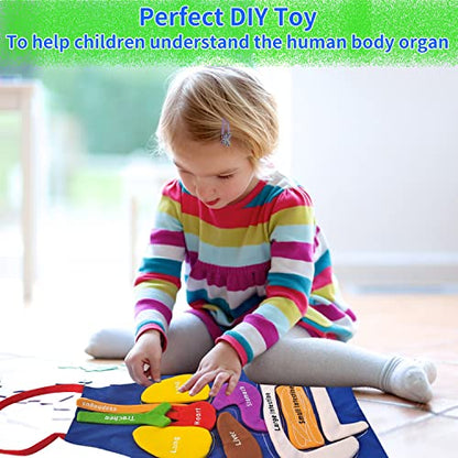 Boczif 3D Organ Apron Awareness Educational Toy, Human Body Model for Kids