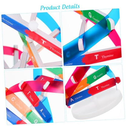 Kisangel DNA Kit Self Double Helix Model Kit Assembling DNA Display Stand Human Genes Learning Toy Biological Teaching Aid Science Molecular Model Kit