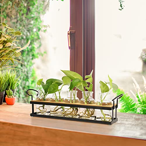 Plant Propagation Station with 5 Glass Jars, Retro Hydroponic Planter Vase - color: Black – 5 Tray
