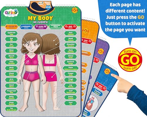 Bilingual Human Body Model for Kids - Interactive Human Anatomy Poster - color: Human Body