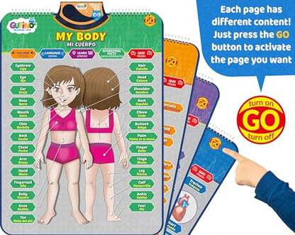 Bilingual Human Body Model for Kids - Interactive Human Anatomy Poster - color: Human Body