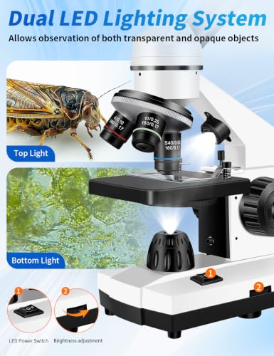Microscope for Adults,WF10x/25x Eyepieces,40x–2000x Magnification,Up/Down LED,Comes with a Free Experiment Kit & Phone Adapter.Suitable for Students Home and School Lab