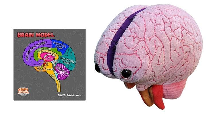 GIANTmicrobes Brain Model Anatomy Plush with Embroidered Details