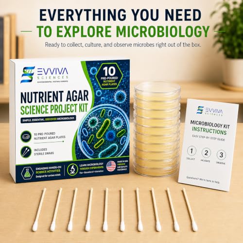 Evviva Sciences Nutrient Agar Petri Dishes Science Project Kit, Pre-Poured Agar Plates for Science Experiments, with Experiment eBook - color: Original