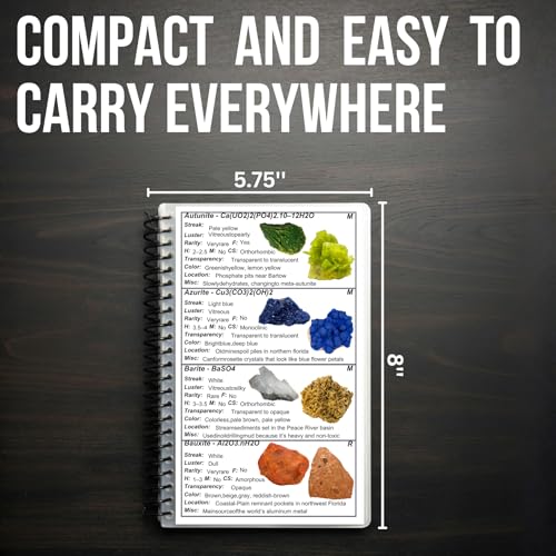 Florida Rocks & Minerals Identification Field Guide | Waterproof