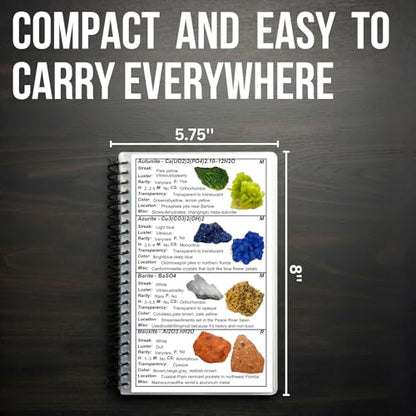 Florida Rocks & Minerals Identification Field Guide | Waterproof