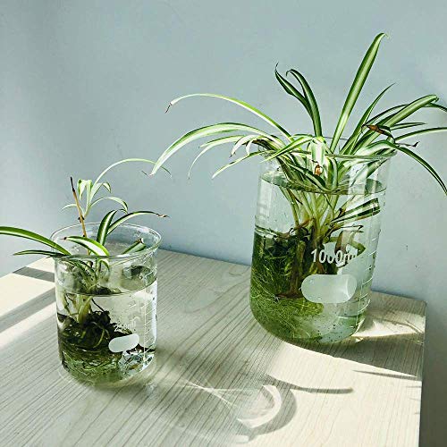 ULAB Scientific Glass Beaker Set, Vol. 500ml, 3.3 Borosilicate Griffin Low Form with Printed Graduation, Pack of 4, UBG1016 - style: Vol.500ml,Pack of 4