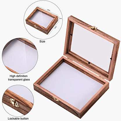 Willbond Insect Display Case Bug Box with Clear Lid, Carbonized Black - color: Carbonized Black