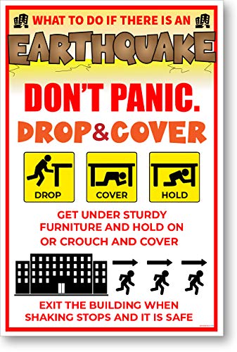 Earthquake Safety Awareness - NEW Educational Health Public Safety Prevention POSTER