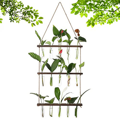 YIBOT Plant Propagation Stations with Wooden Stand 15 Glass Test Tubes Vase - color: Brown, size: 14"L x 14"W x 35"H